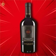 南碉堡酒莊 國境之南 黑瑪爾維薩【12入】