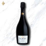 非鳥 解放氣泡 非鳥 解放氣泡