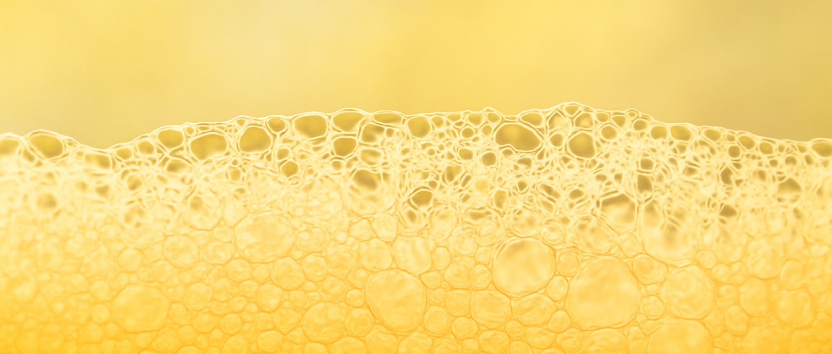 啤酒怎麼放才不走味?賞味期與保存全攻略 啤酒怎麼放才不走味?賞味期與保存全攻略