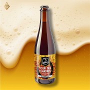 8號鐵絲紅酒雪莉法蘭德斯酸愛爾 500ml【3入】 8號鐵絲紅酒雪莉法蘭德斯酸愛爾 500ml【3入】