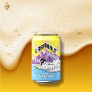 城市探險家 鑽石山 混濁型印度淡愛爾 330ml【4入】 城市探險家 鑽石山 混濁型印度淡愛爾 330ml【4入】