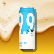 臺虎精釀 靠杯飛斯 500ml【24入】