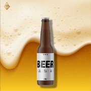 臺虎精釀啤酒 生啤酒<嗨>瓶裝 330ml【24入】