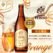 YEBISU 惠比壽啤酒-新創意釀造 第二彈 500ml【20入】 YEBISU 惠比壽啤酒-新創意釀造 第二彈 500ml【20入】