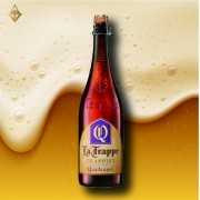 塔伯特四重發酵特級修道院黑啤 750ml【3入】