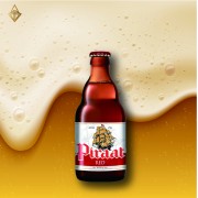 海盜紅啤酒 330ml【4入】 海盜紅啤酒 330ml【4入】