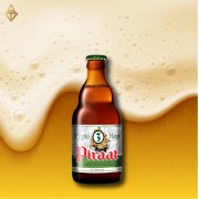 海盜野酒花啤酒 330ml【4入】 海盜野酒花啤酒 330ml【4入】