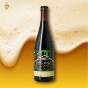 杜爾奈聖誕啤酒 330ml【4入】 杜爾奈聖誕啤酒 330ml【4入】