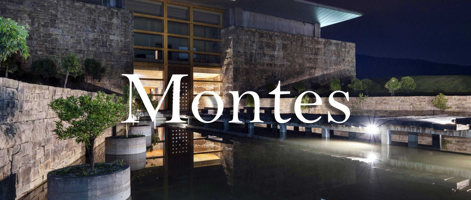 智利的葡萄酒魔法師：Montes 蒙帝斯酒莊