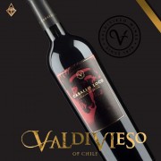 威帝偉士酒莊 「巔馬」旗艦酒 NO.17 18 威帝偉士酒莊 「巔馬」旗艦酒 NO.17 18