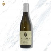 Kei Shiogai ALS.GC.BR.RI 2021