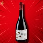 黑達沃拉 西西里 紅葡萄酒 2019 【6入】