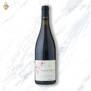 Cave D’occi Pinot Noir 2019