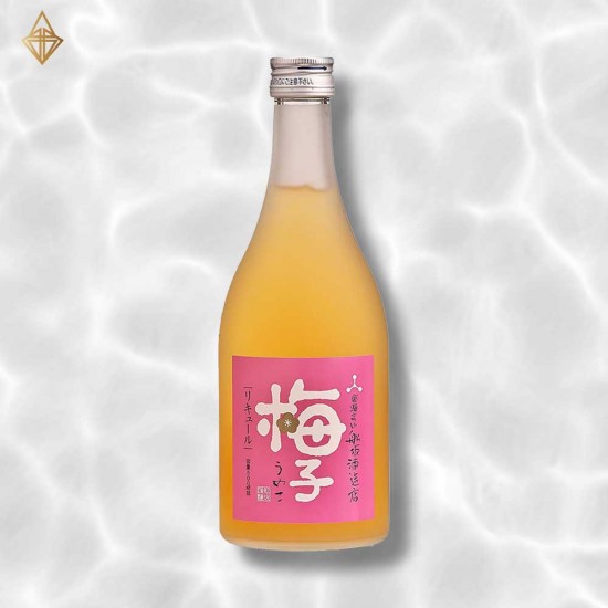 舩坂酒造 すっぱにごり梅子 完熟梅酒 500ml