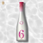 新政 No.6 X-type 720ml 新政 No.6 X-type 720ml
