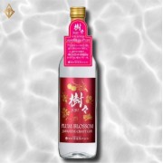樹樹琴酒 PLUM BLOSSOM 700ML